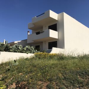 IMG_7938 - Copia