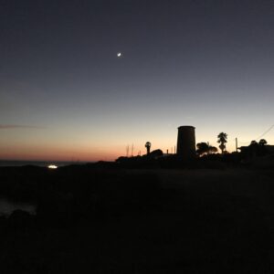 IMG_8196
