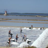 DSCN3975 (1)