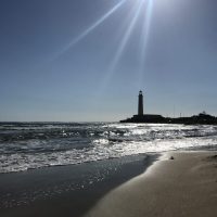 IMG_7260